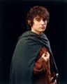 Frodo Baggins