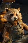 Rocket Raccoon 