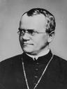 Gregor Mendel 